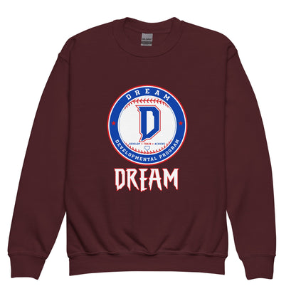 Classic | Youth Sweatshirt | Dream Developmental Program | Valor Logo