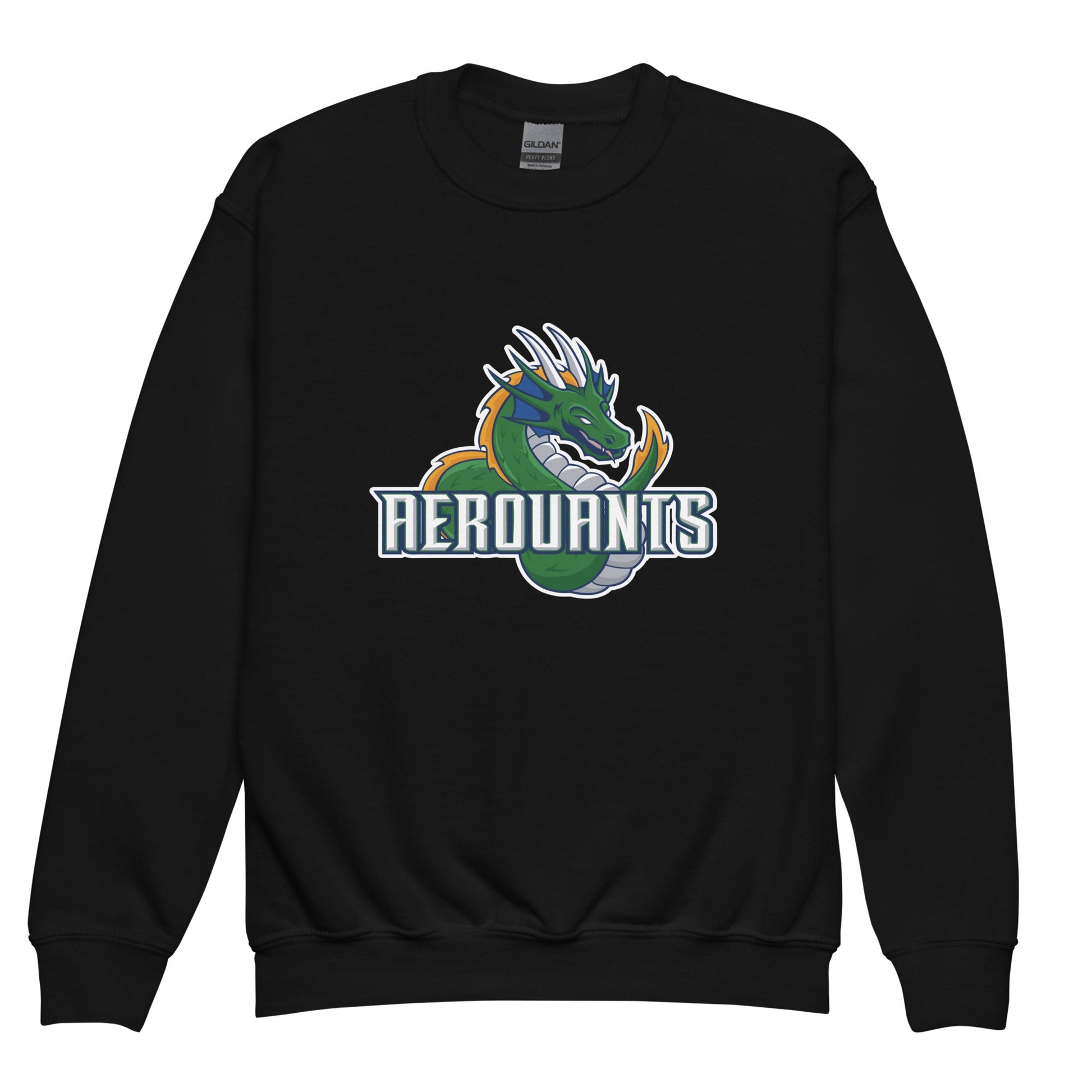 Classic | Youth Sweatshirt | Emerald High School Baseball | Dragon Logo