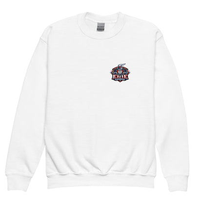 Classic | Youth Sweatshirt | Erie Express Football | Badge Logo