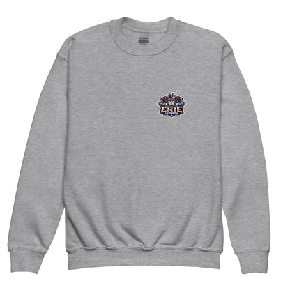 Classic | Youth Sweatshirt | Erie Express Football | Badge Logo