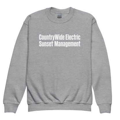Classic | Youth Sweatshirt | FerDa Chicks | Modern Script Logo