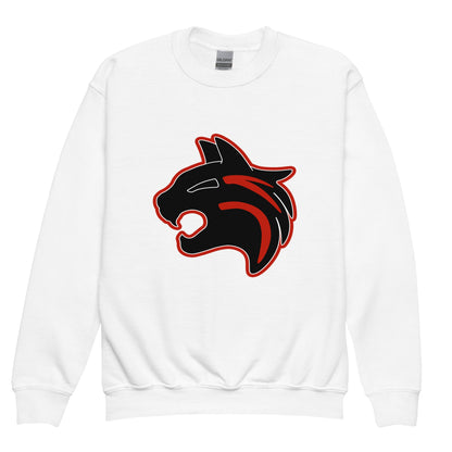 Classic | Youth Sweatshirt | Hemingford Bobcats