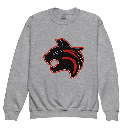 Classic | Youth Sweatshirt | Hemingford Bobcats