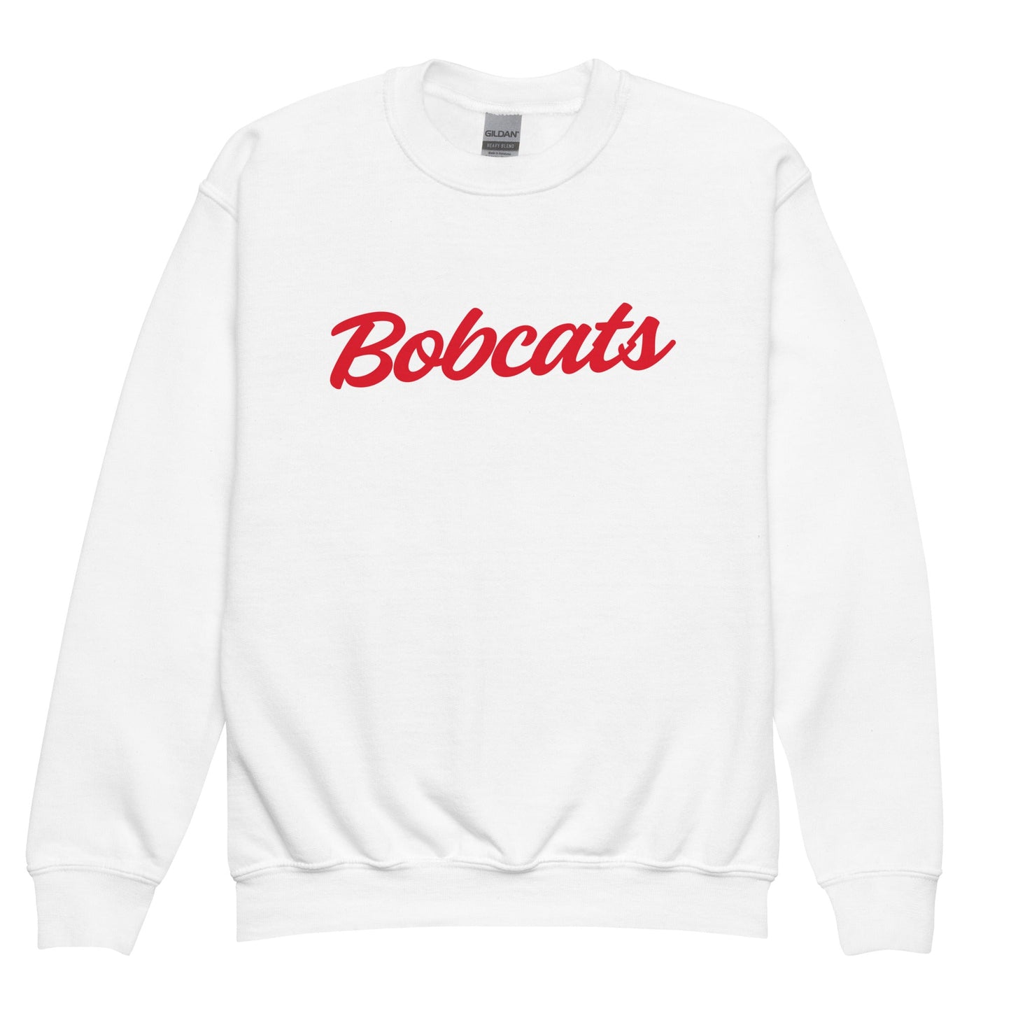 Classic | Youth Sweatshirt | Hemingford Bobcats | Script Logo