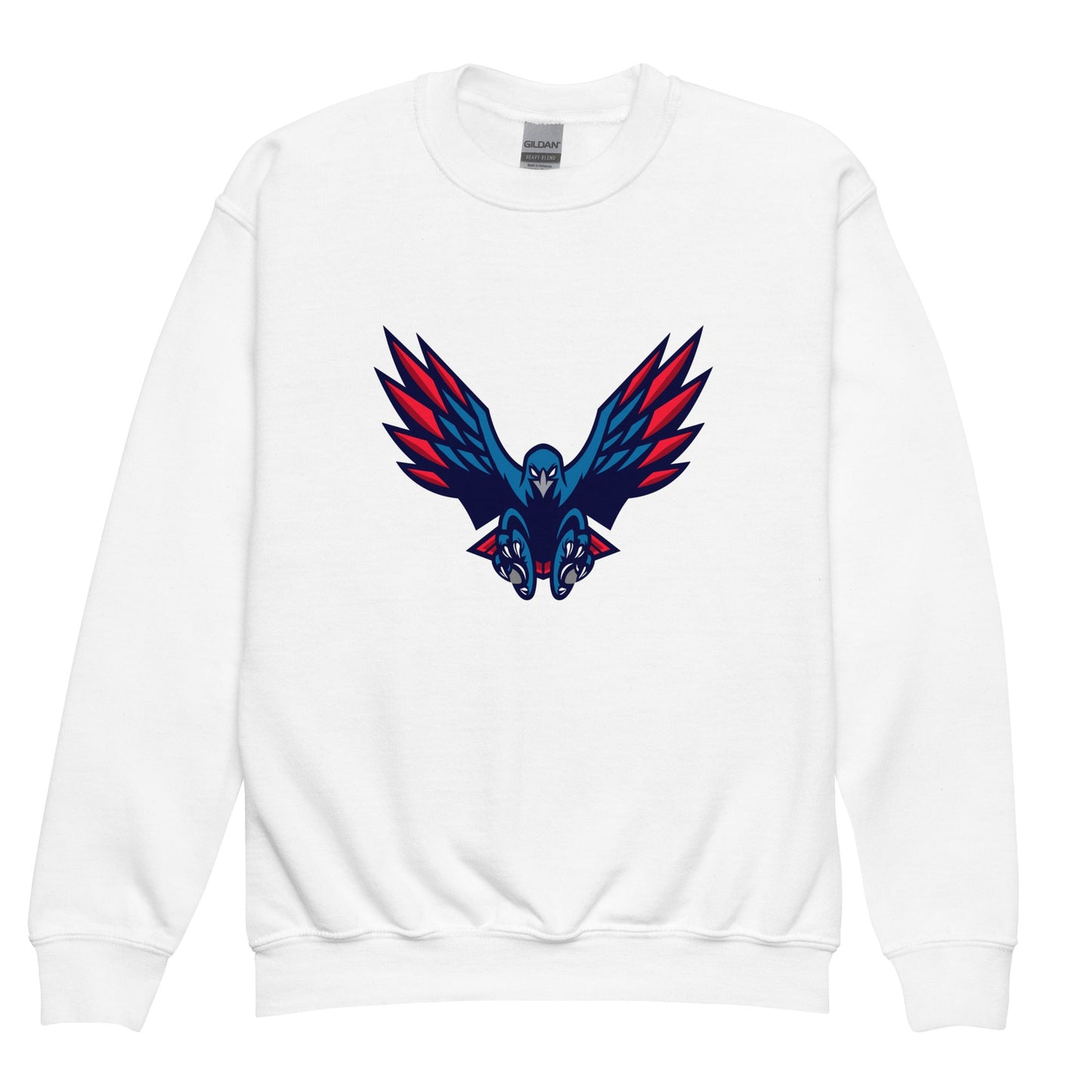 Classic | Youth Sweatshirt | HSE | Vortex Raptor Mascot Logo