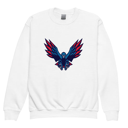 Classic | Youth Sweatshirt | HSE | Vortex Raptor Mascot Logo