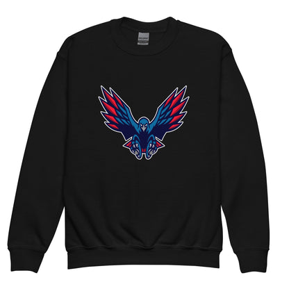 Classic | Youth Sweatshirt | HSE | Vortex Raptor Mascot Logo