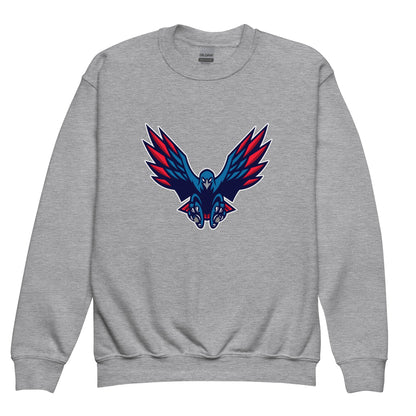 Classic | Youth Sweatshirt | HSE | Vortex Raptor Mascot Logo