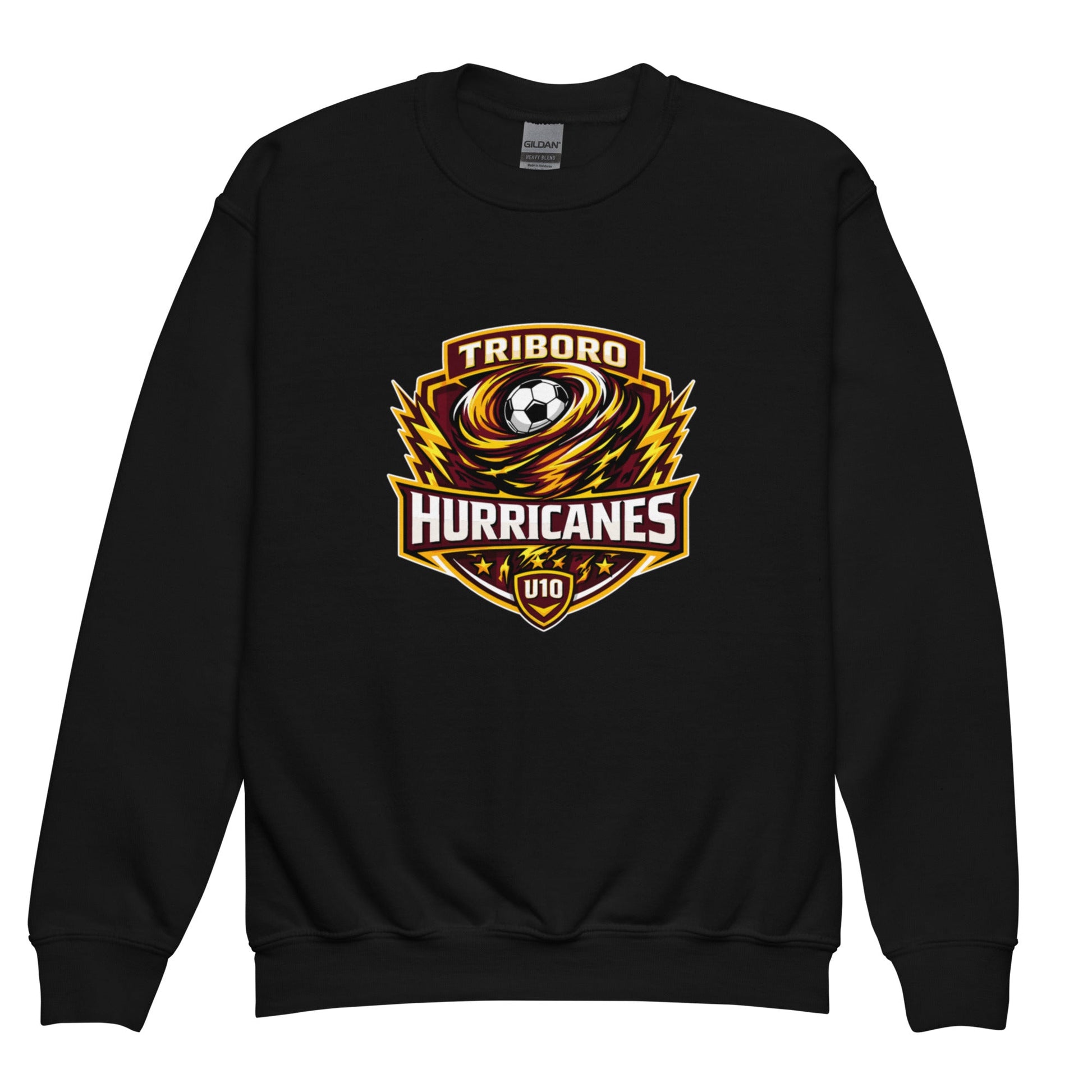 Classic | Youth Sweatshirt | Hurricanes | Shield Logo