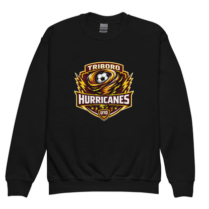 Classic | Youth Sweatshirt | Hurricanes | Shield Logo
