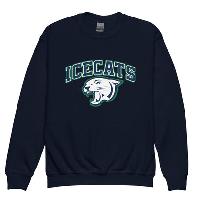 Classic | Youth Sweatshirt | Ice Cats