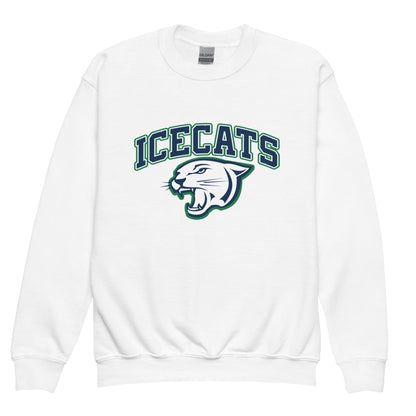 Classic | Youth Sweatshirt | Ice Cats