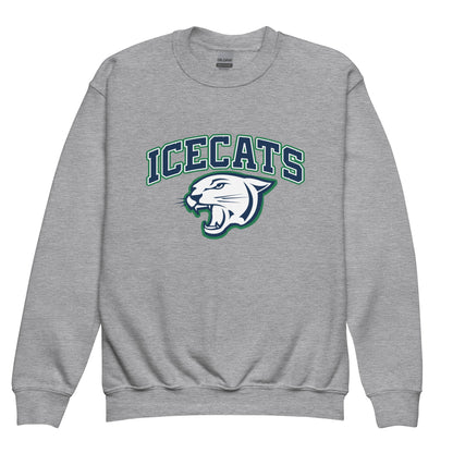 Classic | Youth Sweatshirt | Ice Cats