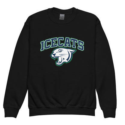 Classic | Youth Sweatshirt | Ice Cats