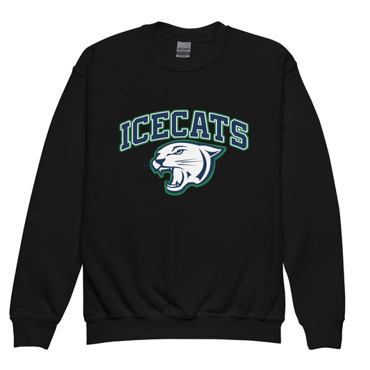 Classic | Youth Sweatshirt | Ice Cats
