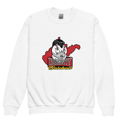 Classic | Youth Sweatshirt | Insanity Baseball