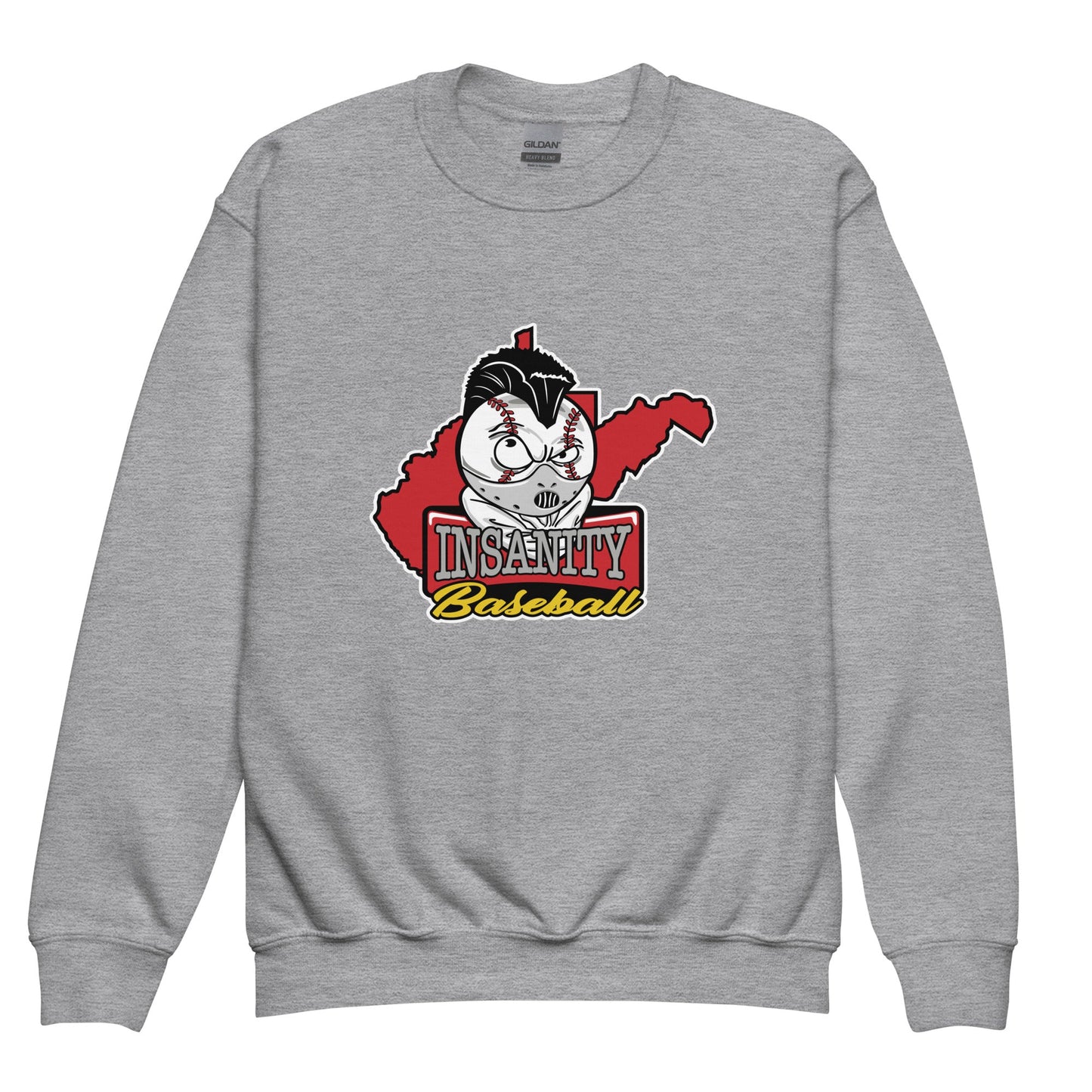 Classic | Youth Sweatshirt | Insanity Baseball