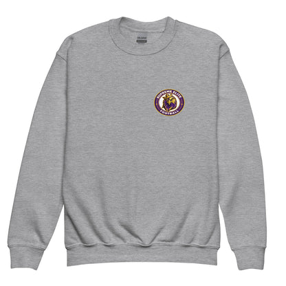 Classic | Youth Sweatshirt | Iron eagle | Badge Logo