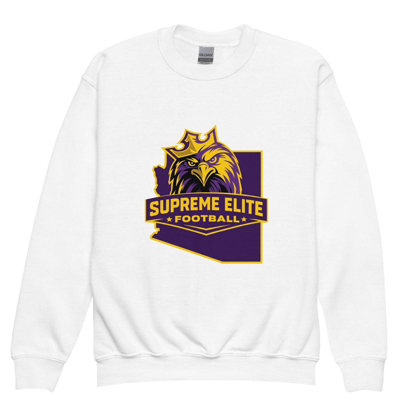 Classic | Youth Sweatshirt | Iron eagle | SEF Arizona Logo