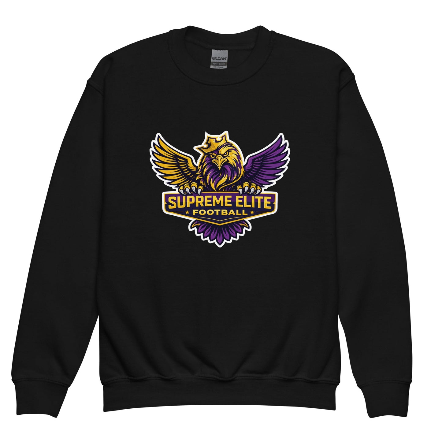 Classic | Youth Sweatshirt | Iron eagle | SEF Logo