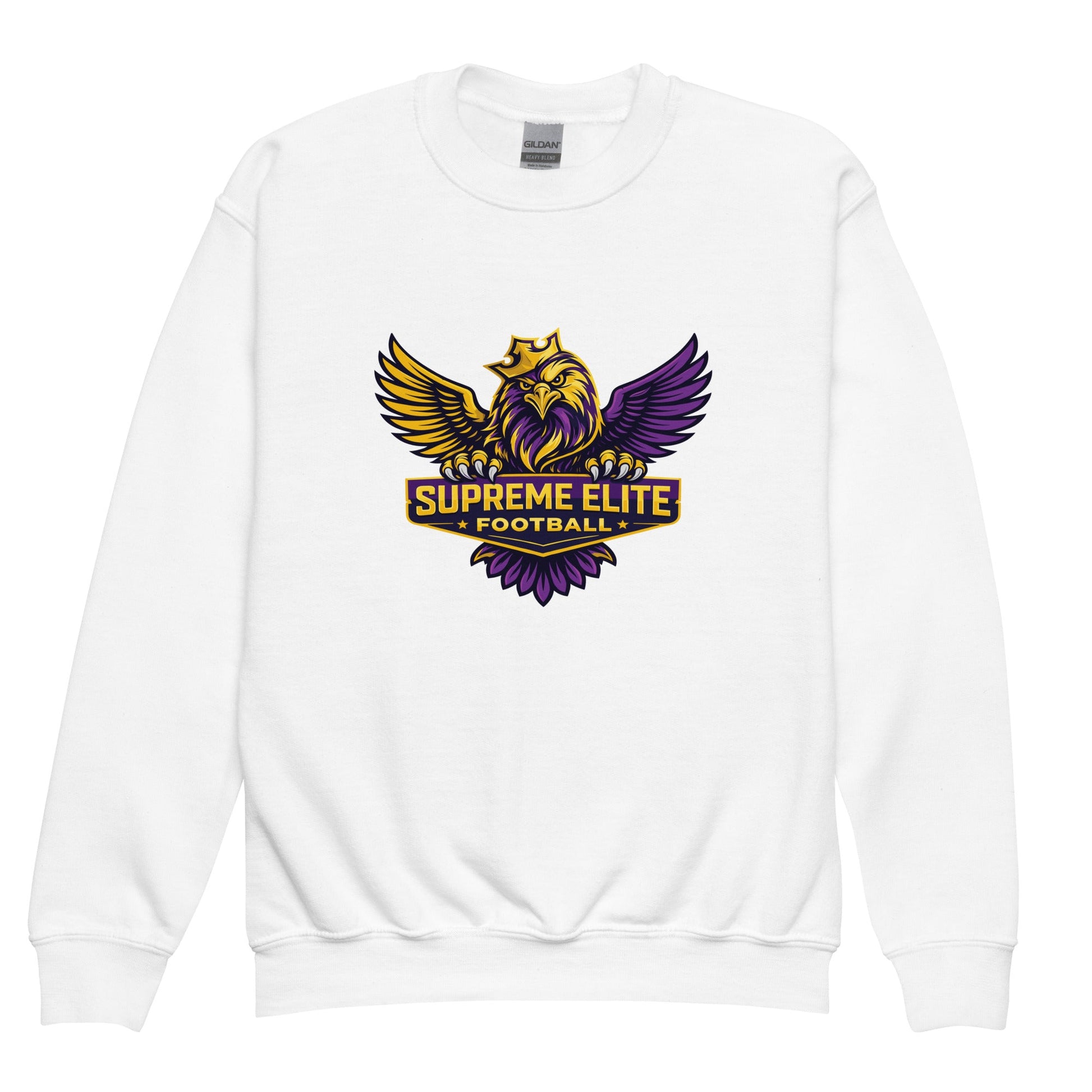 Classic | Youth Sweatshirt | Iron eagle | SEF Logo