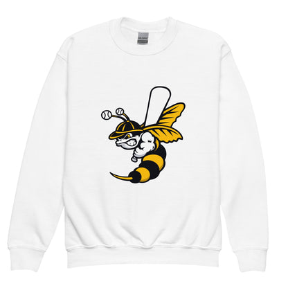 Classic | Youth Sweatshirt | Joanna Hornets | Hornet Logo