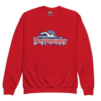 Classic | Youth Sweatshirt | Johnson Ranch Barracudas