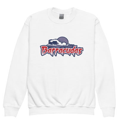Classic | Youth Sweatshirt | Johnson Ranch Barracudas