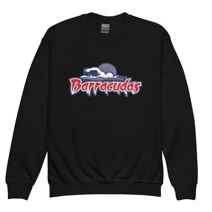 Classic | Youth Sweatshirt | Johnson Ranch Barracudas
