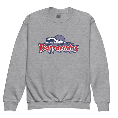 Classic | Youth Sweatshirt | Johnson Ranch Barracudas