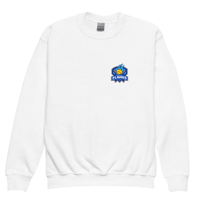 Classic | Youth Sweatshirt | KY Flames | Shield Logo