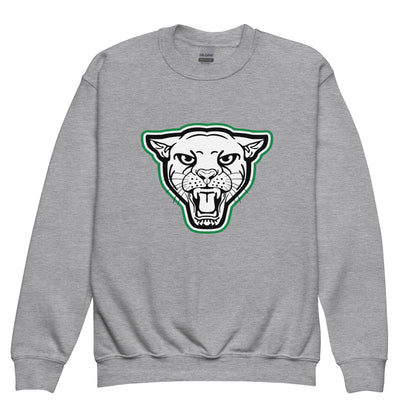 Classic | Youth Sweatshirt | Matt Power Elite