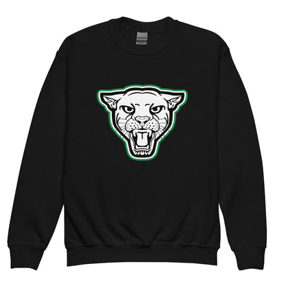 Classic | Youth Sweatshirt | Matt Power Elite