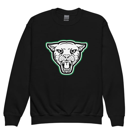 Classic | Youth Sweatshirt | Matt Power Elite