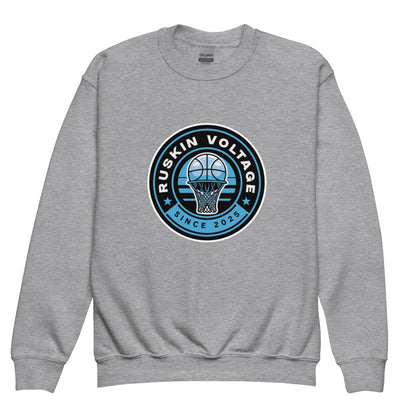 Classic | Youth Sweatshirt | Maximum Voltage Athletics District | Hoop Crest Logo