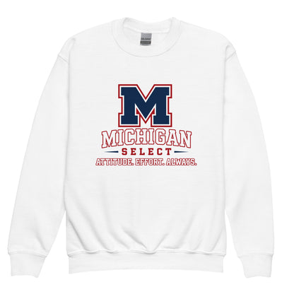 Classic | Youth Sweatshirt | Michigan Select Baseball | Crest Logo