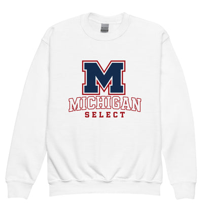 Classic | Youth Sweatshirt | Michigan Select Baseball | Emblem Logo