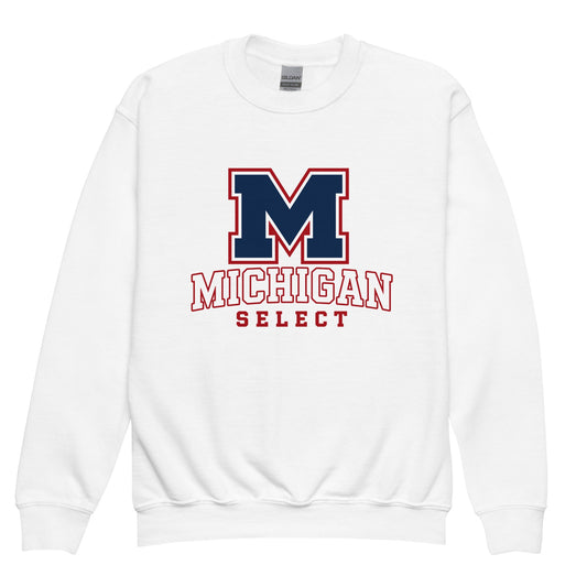 Classic | Youth Sweatshirt | Michigan Select Baseball | Emblem Logo