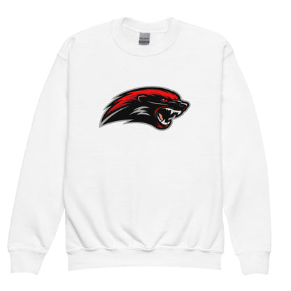 Classic | Youth Sweatshirt | Midwest Badgers | Emblem Logo
