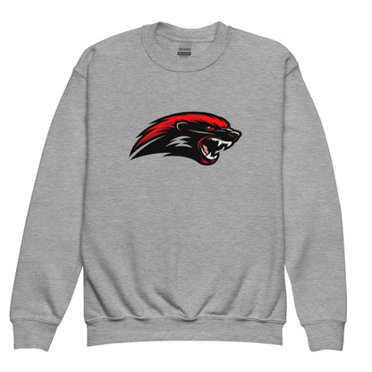 Classic | Youth Sweatshirt | Midwest Badgers | Emblem Logo