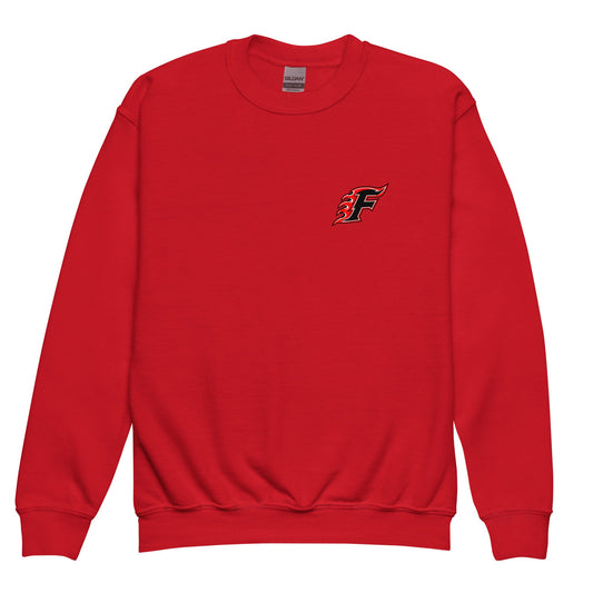 Classic | Youth Sweatshirt | New Oxford Girls Softball Association | Lettermark Logo
