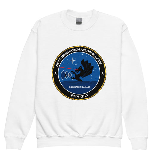 Classic | Youth Sweatshirt | Next Generation Air Dominance | Badge Logo