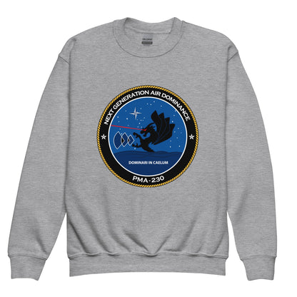 Classic | Youth Sweatshirt | Next Generation Air Dominance | Badge Logo