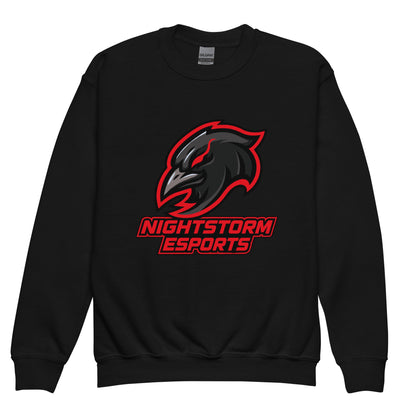 Classic | Youth Sweatshirt | NightStorm Esports | Crest Logo