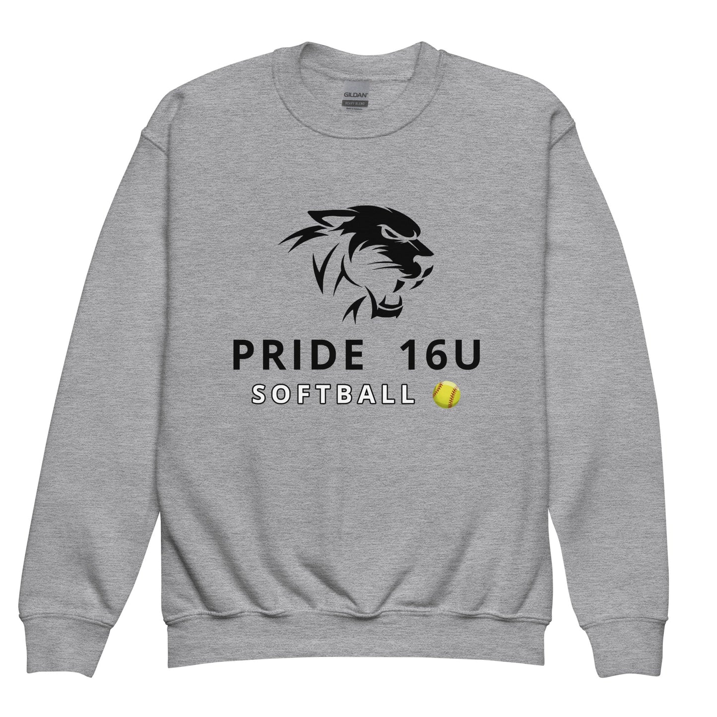 Classic | Youth Sweatshirt | NNY Pride Softball | Emblem Logo