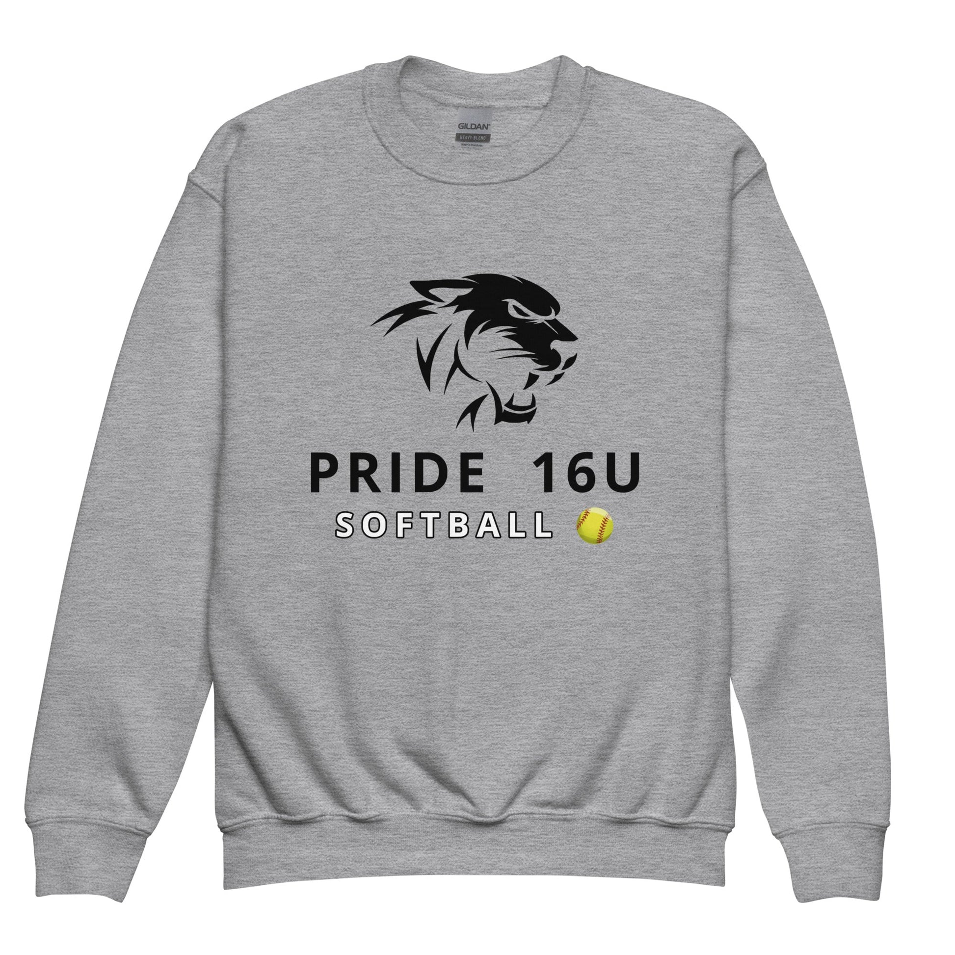 Classic | Youth Sweatshirt | NNY Pride Softball | Emblem Logo