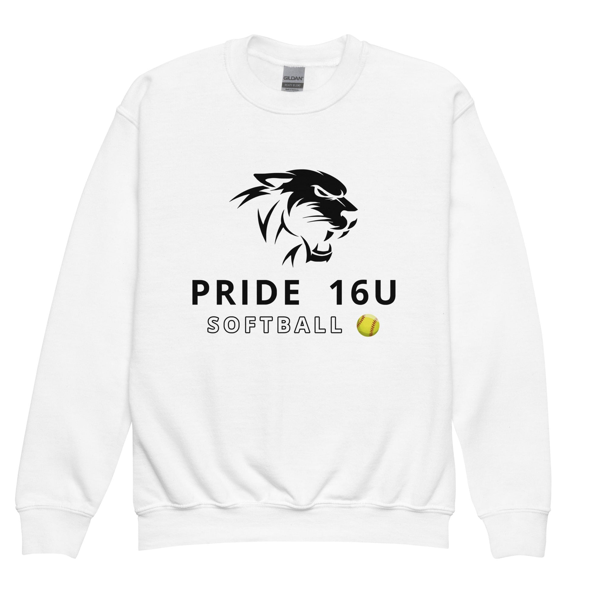 Classic | Youth Sweatshirt | NNY Pride Softball | Emblem Logo