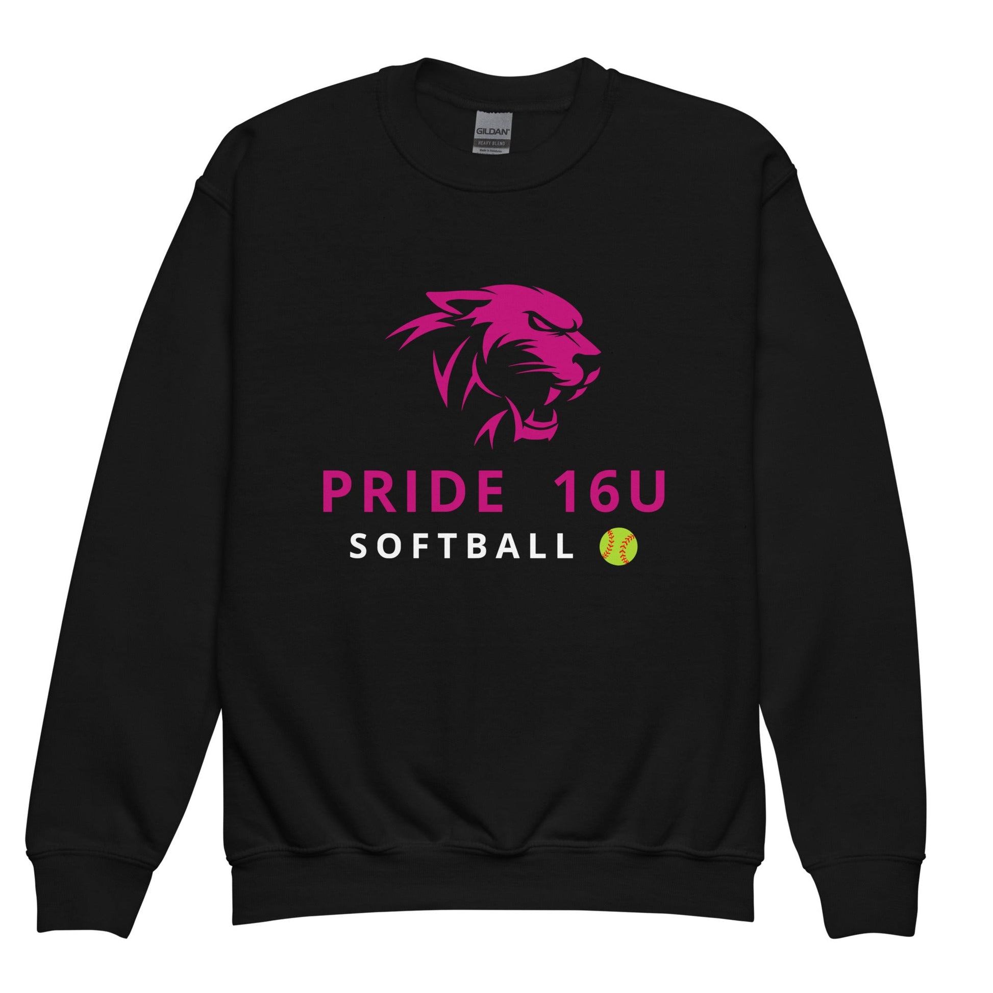 Classic | Youth Sweatshirt | NNY Pride Softball | Fastpitch Elite Logo