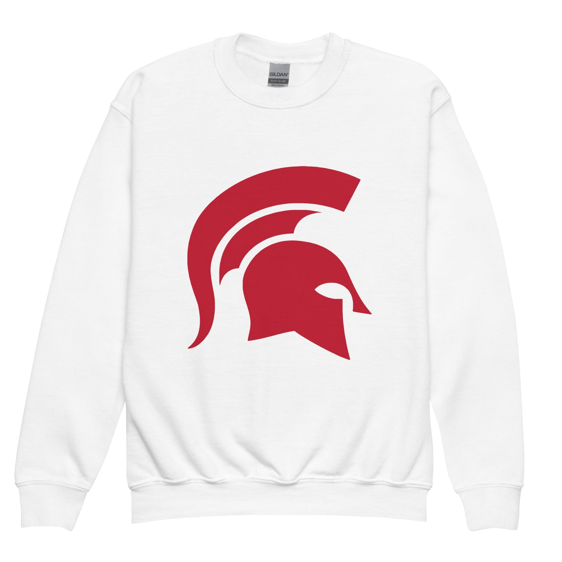 Classic | Youth Sweatshirt | ORDER AND COLOR TEST