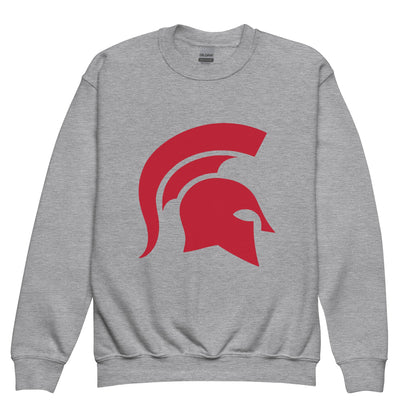 Classic | Youth Sweatshirt | ORDER AND COLOR TEST